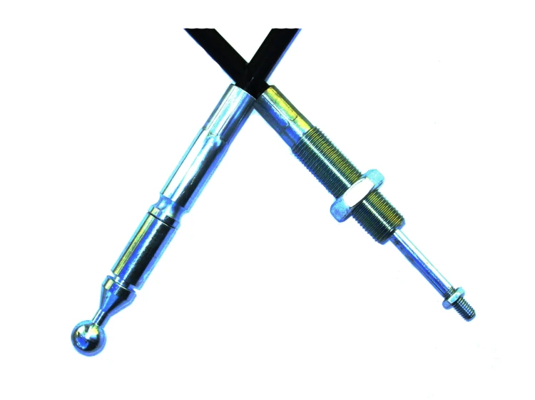 2894.jpg